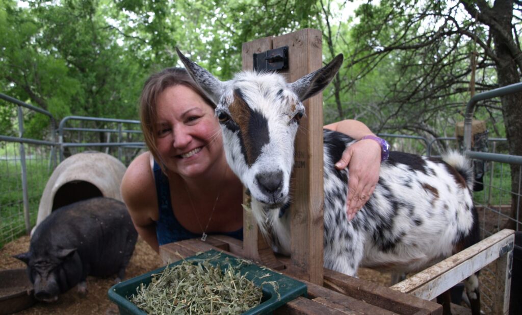 Murphy with goat and pig